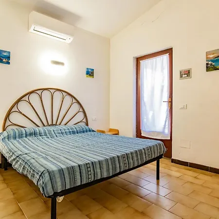 Bouganville * Palazzo (Livorno)